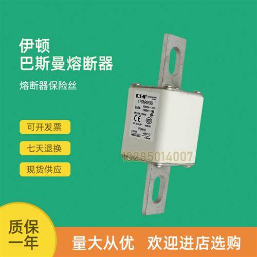 全新快速熔断器保险170M4690 170M4691 170M4692 170M4693 - 图1