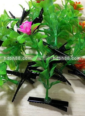 发夹小豆芽卖萌风头上长草