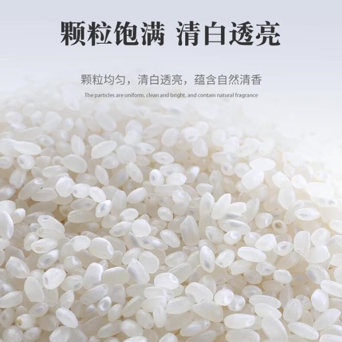 光明谷锦 当季新米 崇明鲜米 晶润香大米5kg 来自崇明岛 - 图0