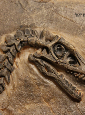 恐龙美式风墙面餐厅酒吧装饰品