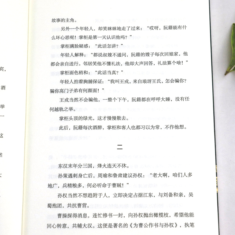 【正版】人间不坠青云志：古代文人沉浮录 叶楚桥著唐诗宋词诗词小说文人历史人物传记人间惊鸿客古诗词鉴赏书籍