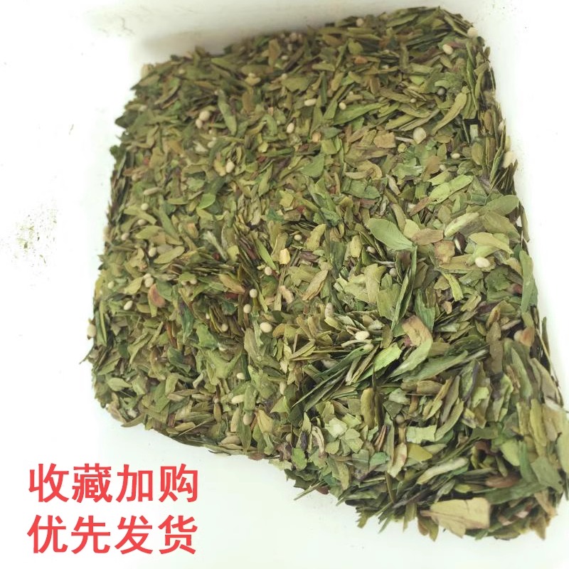 2024年新茶特级高碎茶叶沫茶末茶碎西湖茶场龙井碎茶片口粮茶500g - 图0