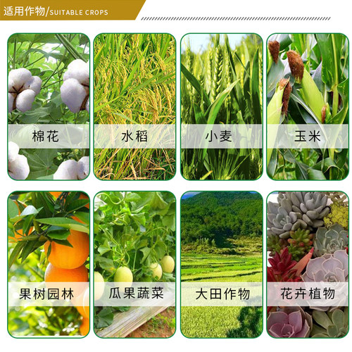 华阳30%噻虫嗪噻虫螓蚜虫飞虱蓟马绿叶蝉花卉蔬菜果树农药杀虫剂 - 图1