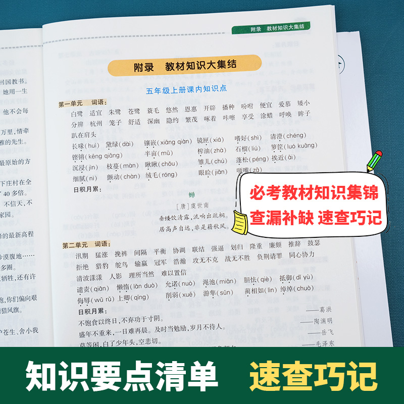 2024新版天天向上小学语文知识大全数学英语一二三四五六年级小升初知识集锦词语手册1-6年级小学生小升初基初知识点复习资料大全 - 图2