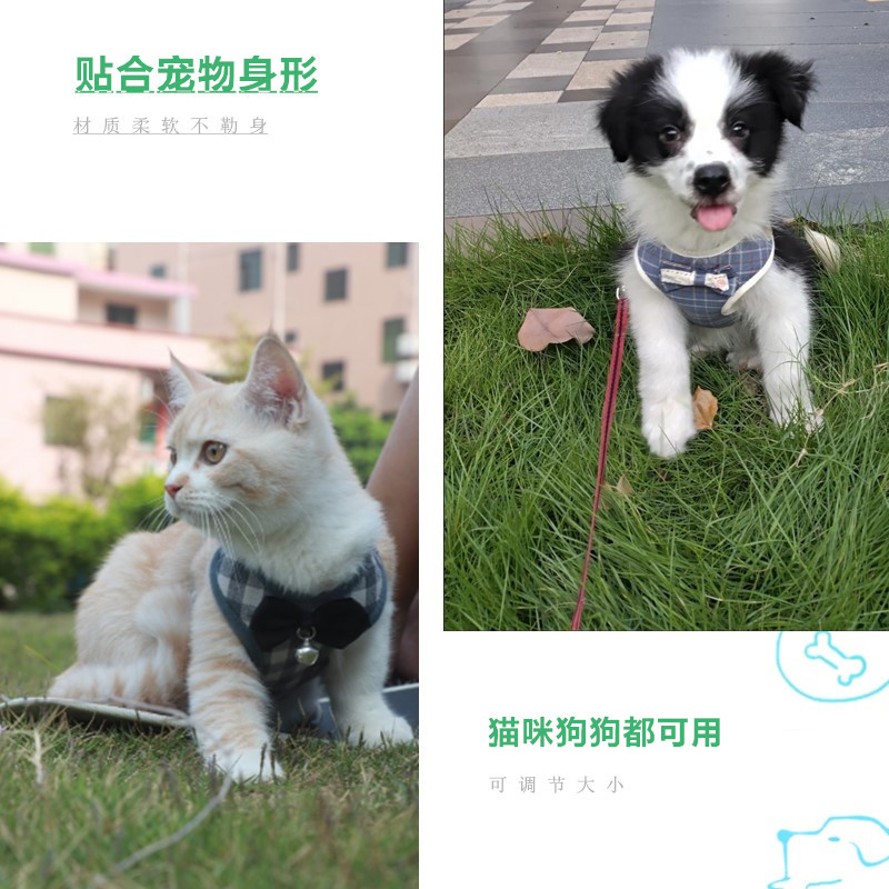 猫咪牵引绳狗狗背心式胸背幼猫犬链子超小溜猫绳泰迪比熊宠物狗绳 - 图1