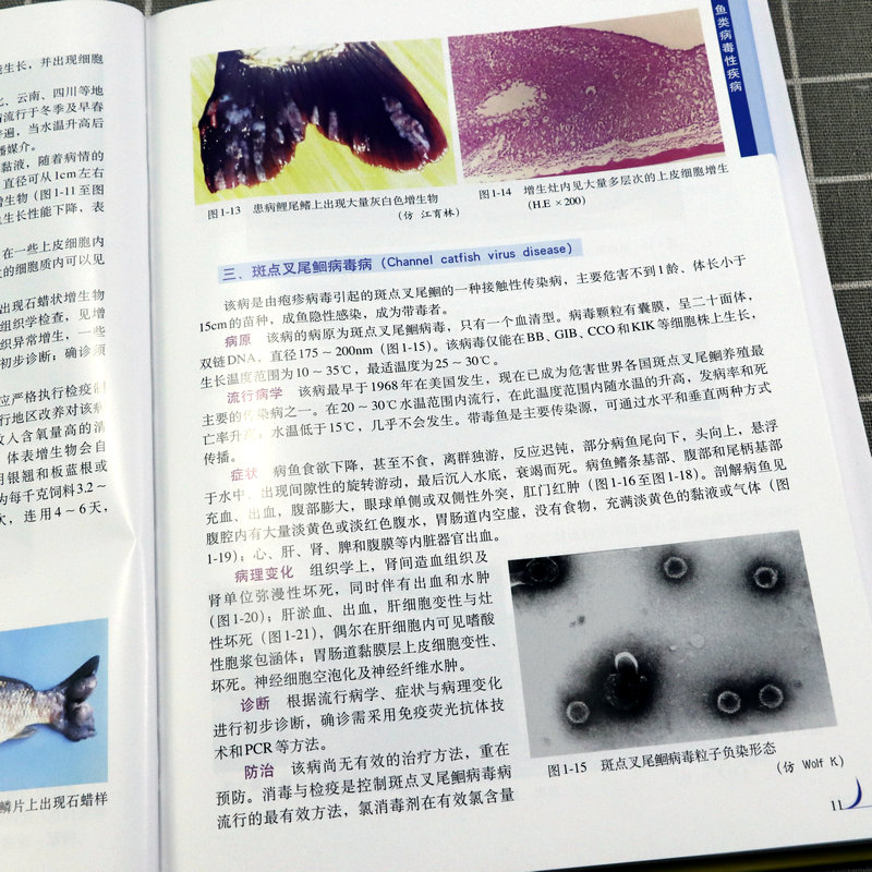 鱼病诊治彩色图谱动物疾病鱼类常见疾病诊治与防治鱼病防控育苗选择建厂安全手册水产养殖高效养鱼技术水产海水淡水鱼养殖技术书籍 - 图2