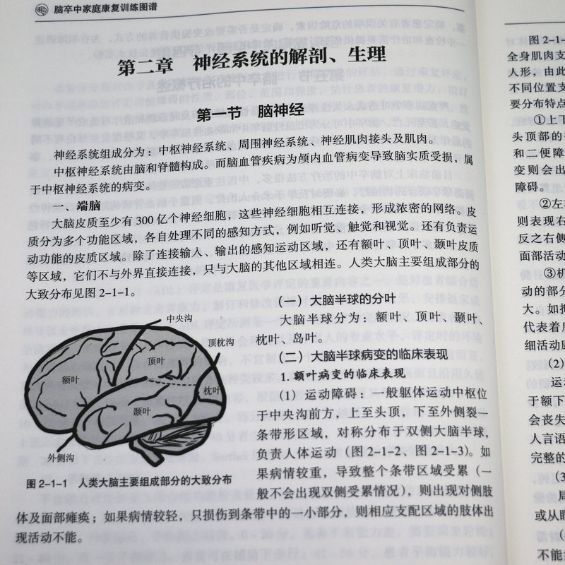 脑卒中家庭康复训练图谱+脑卒中自测与防治+脑出血性疾病科学用药指南脑卒中脑梗死患者家庭护理指导脑梗死急性脑出血中风偏瘫书籍 - 图3