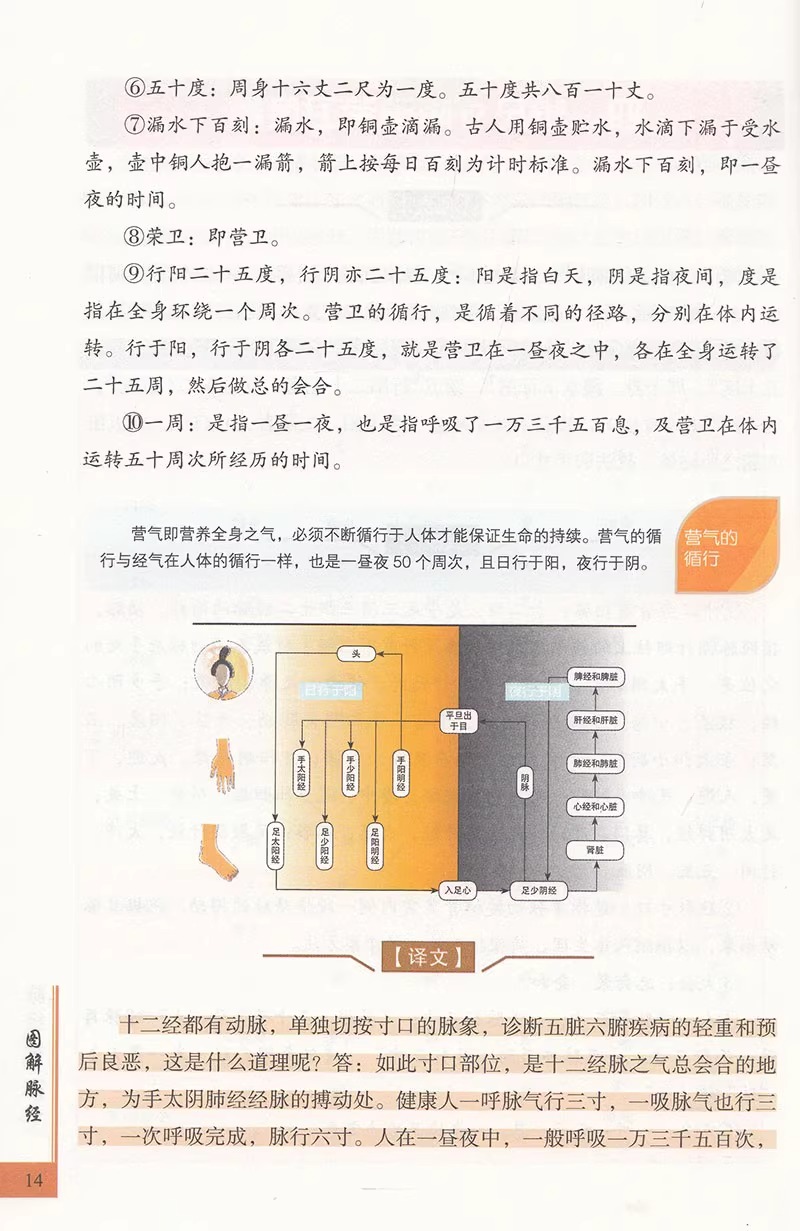 图解脉经五脏六腑阴阳逆顺平三关阴阳二十四气脉脉理脉法脉象鉴别黄帝内经中医脉学中医临床脉诊辨证入门新解基础参考书籍-图2