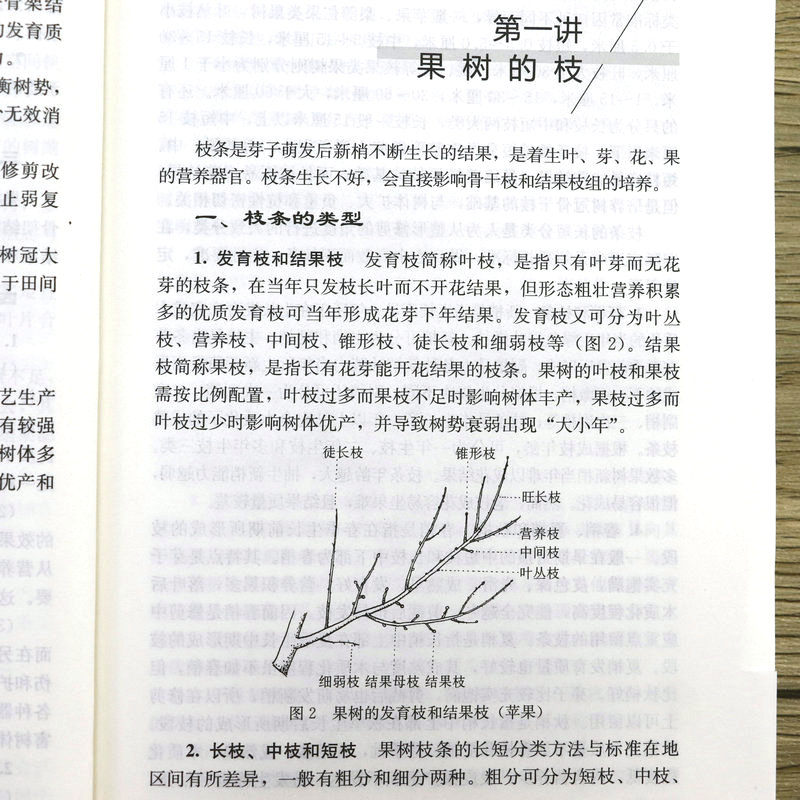 新版果树修剪知识与技术果树修剪知识与技术详解农业林业基础学园艺相关从业人员整形修剪方法果树修剪学书籍-图1