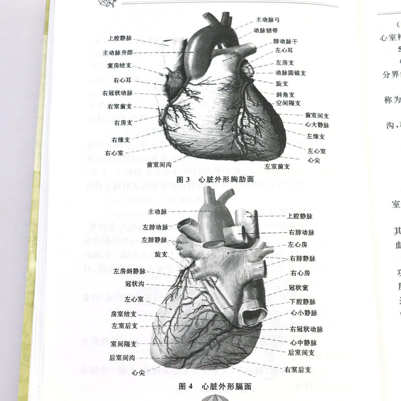 （2册）血管决定人的寿命+心血管疾病中医诊治自学入门远离心脑血管病心脑血管疾病健康早知道养护保健大全血液内科中医学理书籍-图2