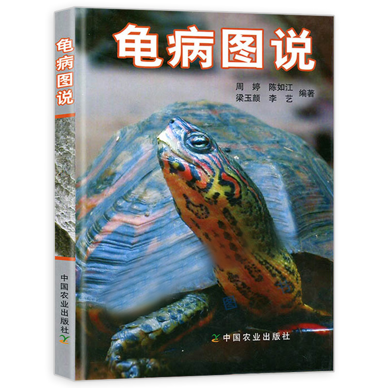 养龟书籍 龟病图说高效养龟关键技术乌龟养殖书养好宠物龟大全宠物乌龟高效养殖技术养龟鳖养殖200问养殖乌龟王八疾病防治技术书籍 - 图1