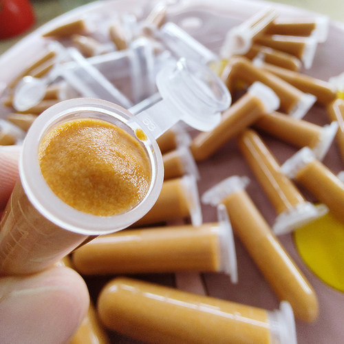 小型幼鱼开口孔雀鱼粮食水母饲料灯科鱼斗鱼专用冰冻丰年虾卵增色 - 图0