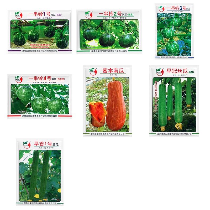 农科院南瓜种子嫩南瓜贝贝南瓜蜜本南瓜观赏玩具南瓜易种蔬菜籽孑,淘宝优惠券,粉丝福利购,淘宝优惠卷