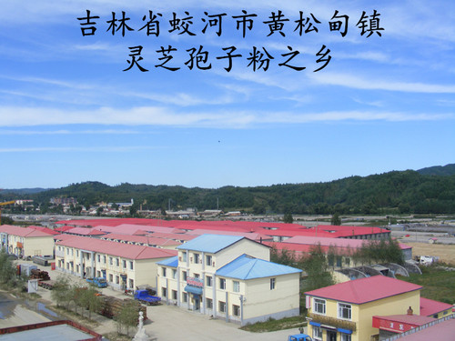 吉林灵芝孢子粉2026年新粉东北吉林散装灵芝孢子粉500克顺丰包邮 - 图2