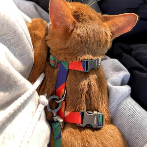 pidan猫咪牵引绳猫牵引绳猫咪H型背带遛猫绳防挣脱猫链子宠物用品