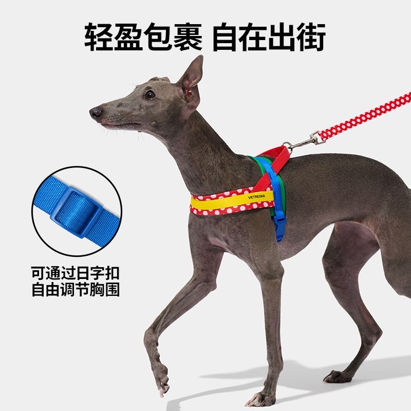 未卡Chroma宠物胸背带牵引绳套装遛狗狗绳子大中小型犬宠物牵引绳 - 图1