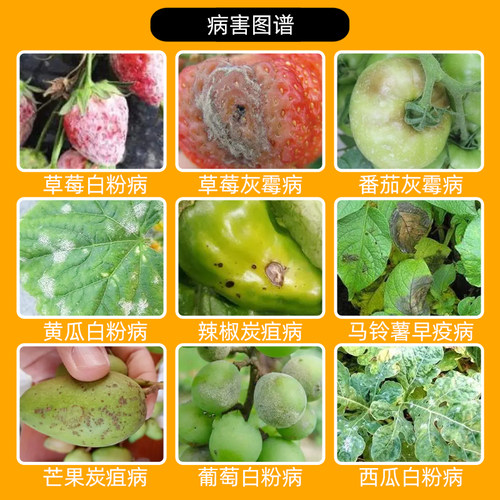 巴斯夫健达嘧菌酯氟酰胺葡萄黄瓜芒果叶霉灰霉病白粉病专用杀菌剂 - 图0
