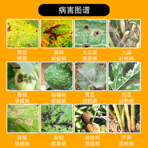 先正达世高杀菌剂 10%苯醚甲环唑葡萄番茄白粉病叶斑病黑星病农药 - 图0