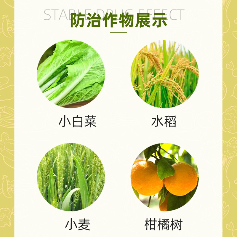 硕丰481花之果 芸苔内酯素 正品14-羟基芸苔素甾醇植物生长调节剂 - 图0