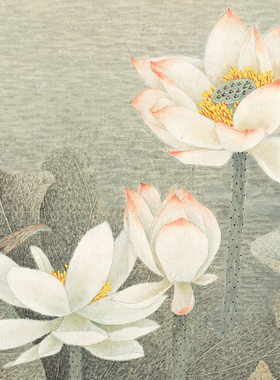 荷花图国画简约新中式装饰画沙发背景墙挂画高清复制彩色临摹底稿