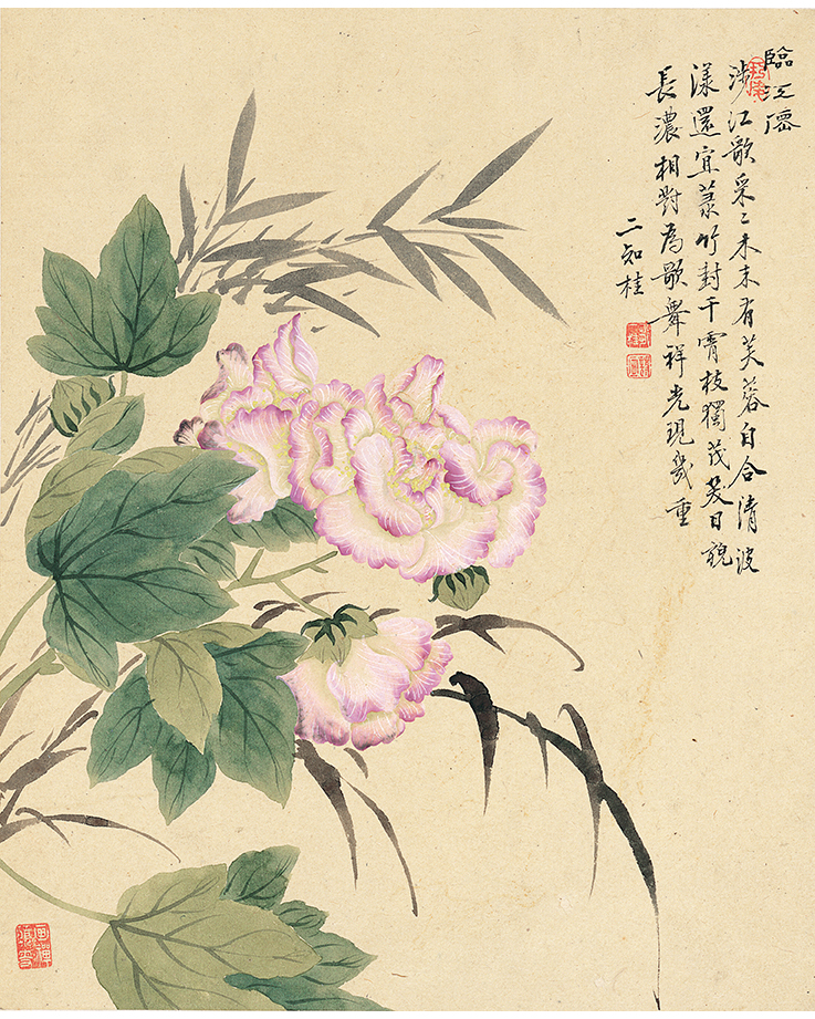 1:1清 邹一桂 花卉八开 国画花卉图册 玄关装饰 临摹画稿高清复制