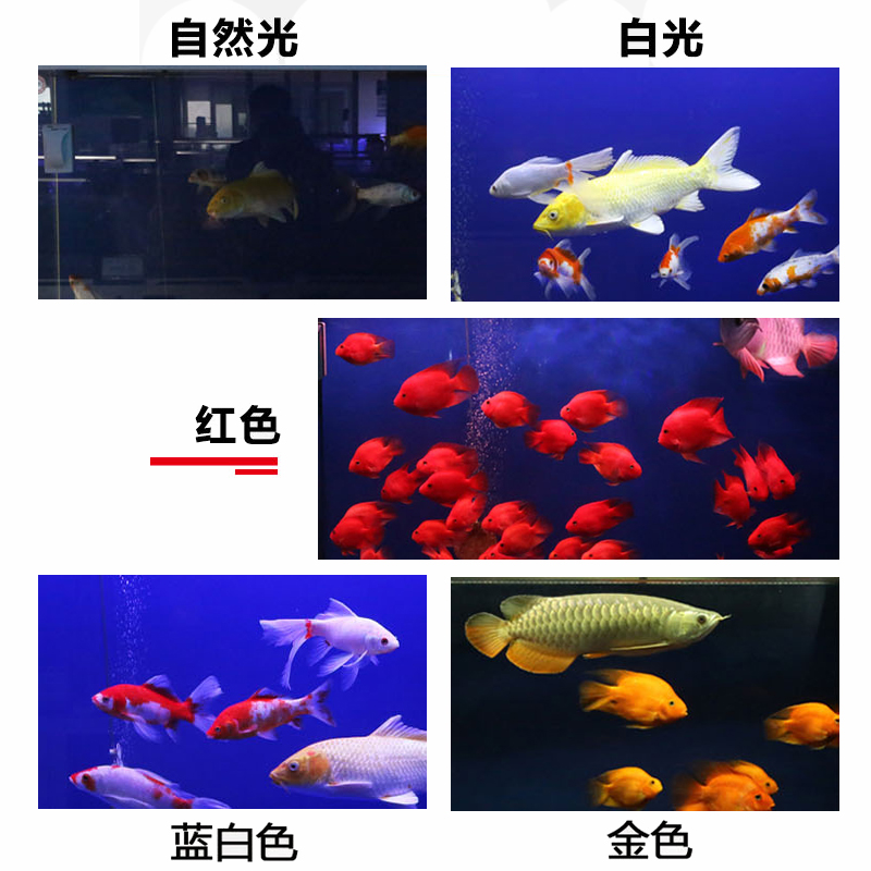 森森鱼缸潜水变色LED水草冒泡七彩照明灯水族箱造景龙鱼防水灯管 - 图1