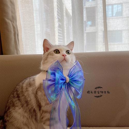 新品包邮韩式丝带蝴蝶结宠物装饰狗狗领结猫咪波浪边蕾丝饰品项圈 - 图2