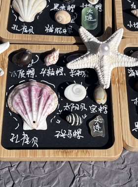 文创海螺贝壳螃蟹冰箱贴可旋转海星创意礼物伴手礼旅游纪念品礼物
