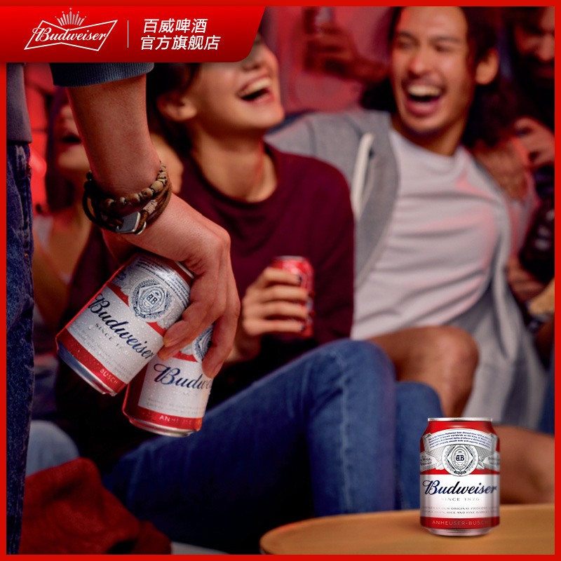 【6月到期】Budweiser/百威啤酒迷你啤酒255ml*24小罐装家庭聚会 - 图3