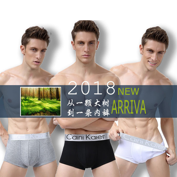 男士内裤男纯棉平角裤个性青年莫代尔韩版骚气四角短裤头潮,淘宝优惠券,粉丝福利购,淘宝优惠卷