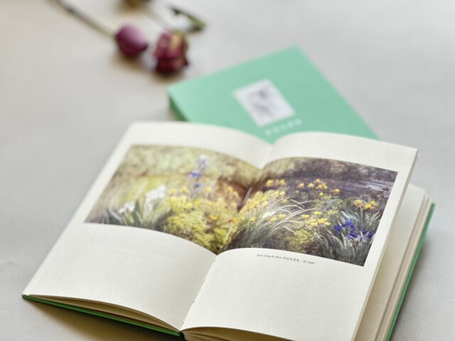 Genuine hardcover丨The heart of wonder (including hand-drawn illustrations) 