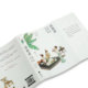Genuine丨Qing Jia Lu (New Edition) The Book of Chinese Festivals + Free 