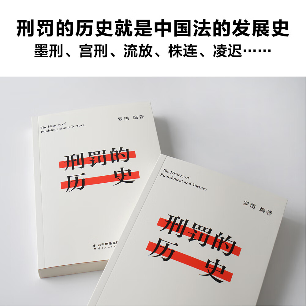 刑罚的历史 罗翔 法律 读物 历数酷刑典故 墨刑 宫刑 流放 株连 法律 历史课堂 在奇闻轶事中看清中国法律的发展 果麦出品 - 图1