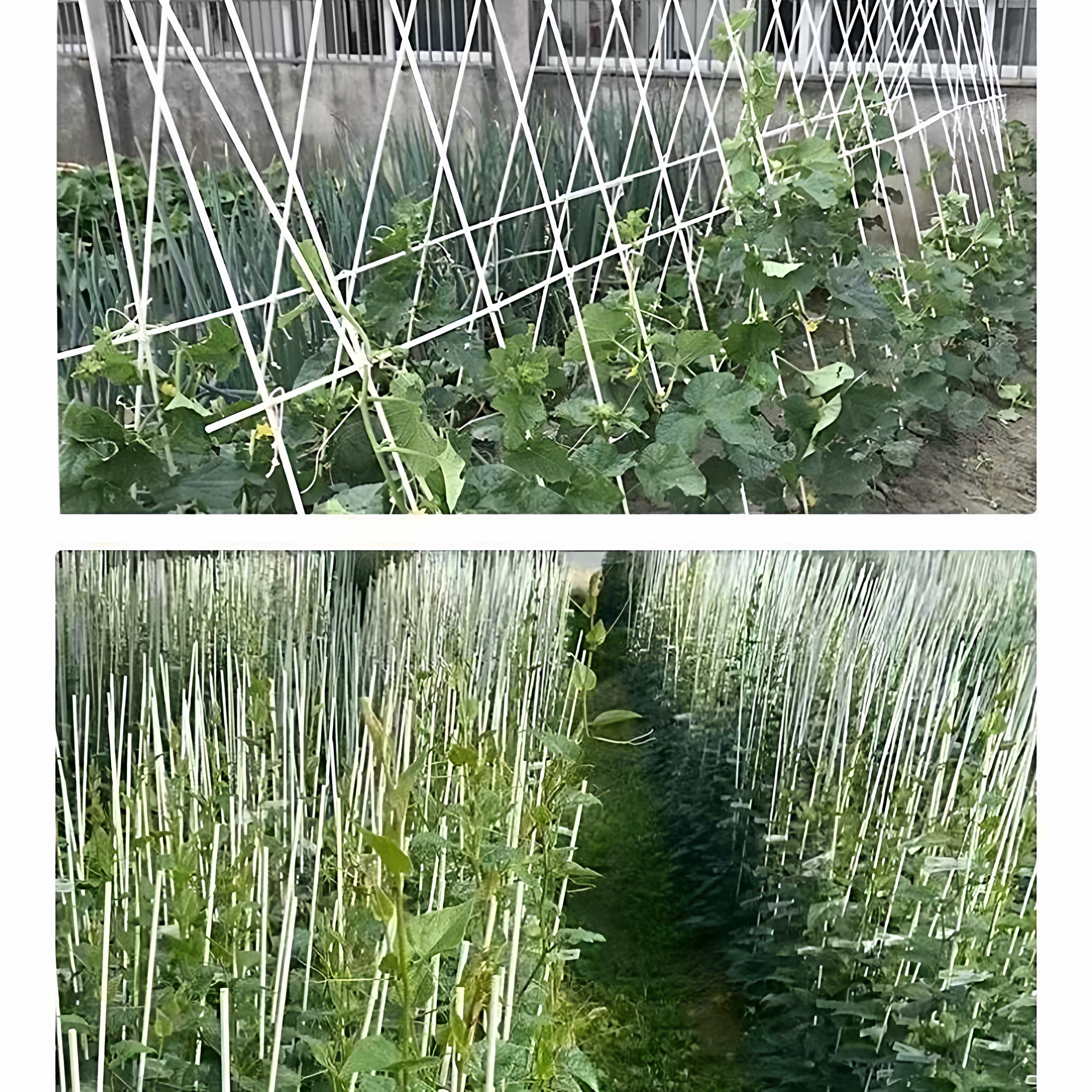 农用大小拱棚支架蔬菜种植大棚内棚保温骨架实心玻璃纤维杆tk工厂,淘宝优惠券,粉丝福利购,淘宝优惠卷