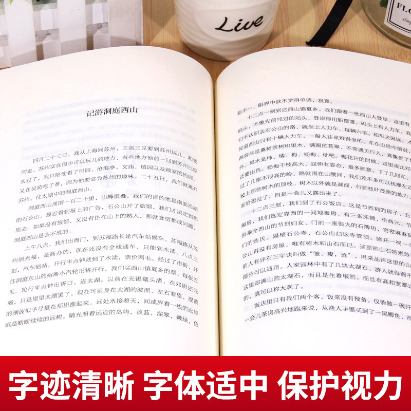 正版叶圣陶经典散文集中国文学大师经典文库精选散文叶圣陶儿童文学全集小学生初中生高中生课外阅读书近代散文集稻草人叶圣陶散文-图1