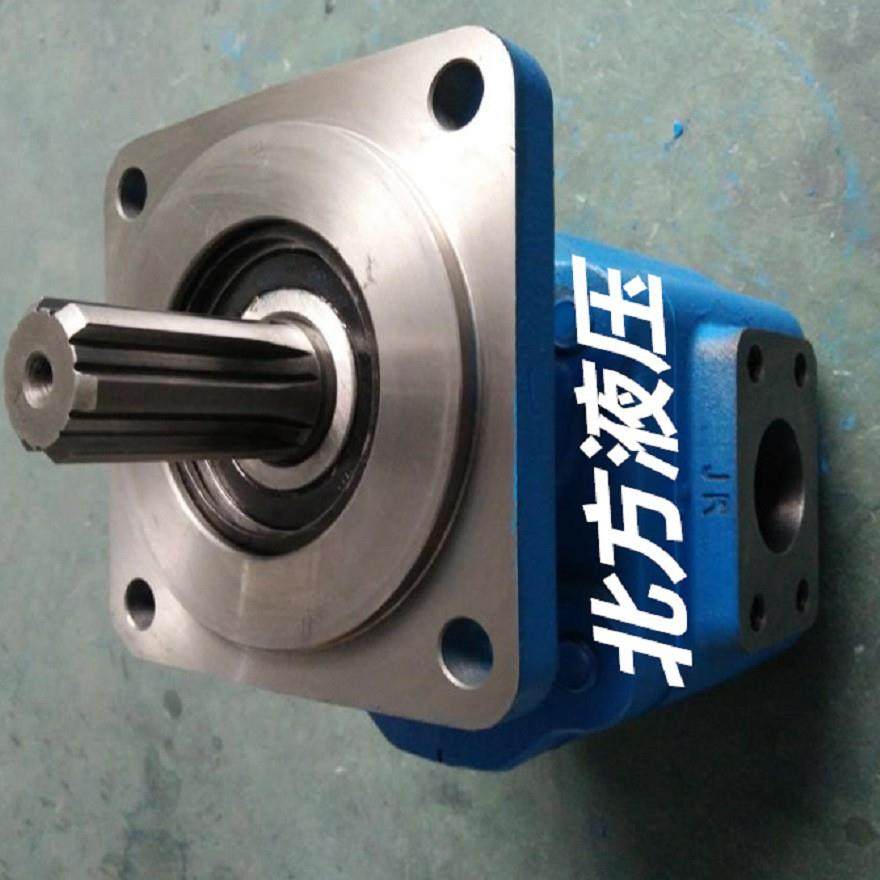 3129620173齿轮泵效率高结构简单安装方便 - 图3