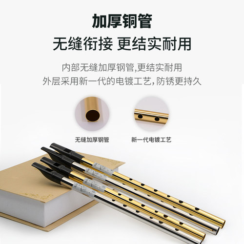 NAOMI爱尔兰哨笛 初学者入门款六孔竖笛 C调D调高音直笛 - 图2