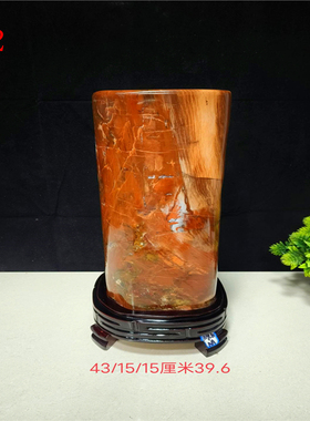 天然原石新疆木化石精品摆件