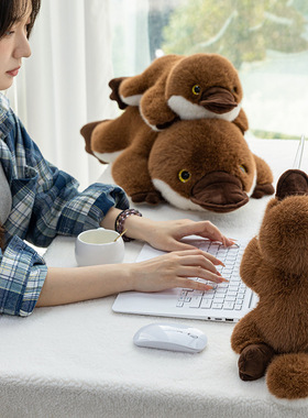 卡通鸭嘴兽毛绒抱枕车载飘窗