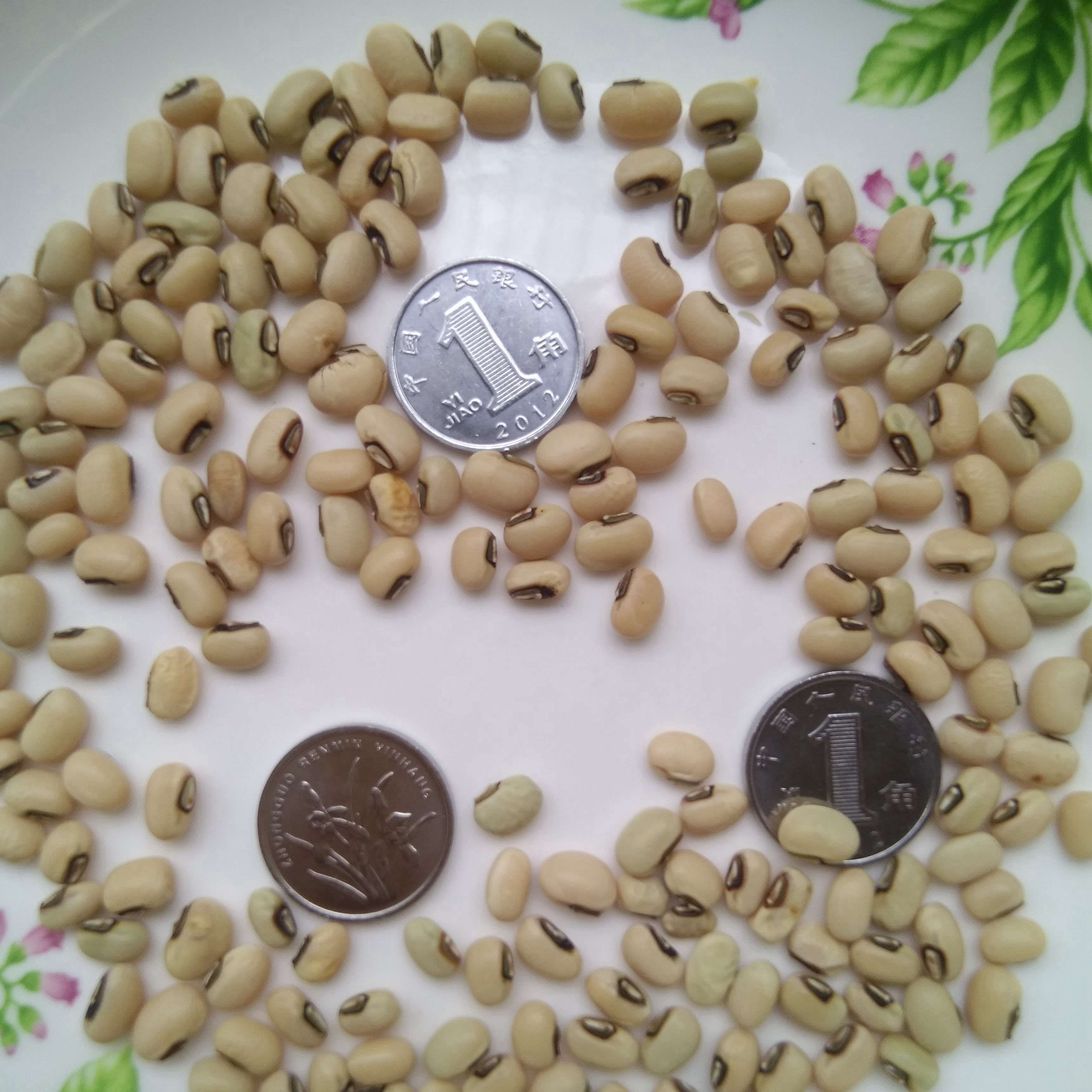 广东阳江本地白饭豆白眉豆白饭豆仔微豆农家绿色无公害白薇豆2斤