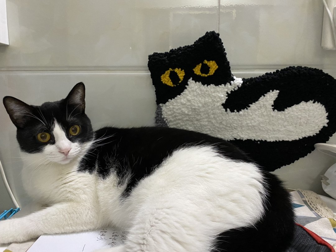 木质戳戳绣针戳笔改良版全管不锈钢顺畅手感好 DIY手工秀制作工具,淘宝优惠券,粉丝福利购,淘宝优惠卷