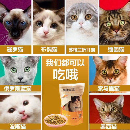 小包装便携猫粮 成幼猫咪宝宝全阶段挑嘴流浪猫吃的新鲜干粮 - 图1