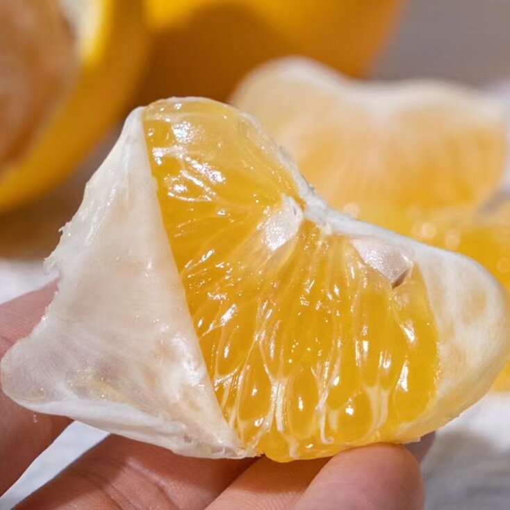 红美人甜桔柚5斤礼盒年货送礼新鲜纯甜橘子福建黄金当季甜心柚,淘宝优惠券,粉丝福利购,淘宝优惠卷