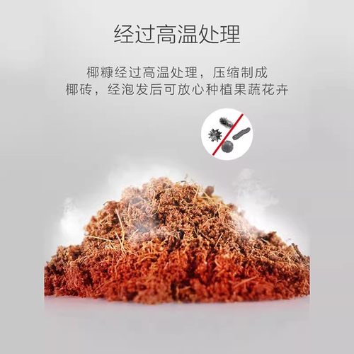 椰砖营养土通用型土壤种菜种花卉栽培基质土大块进口脱盐椰糠椰壳 - 图1