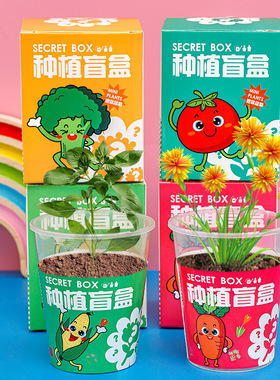 桌面小盆栽植物摆件小礼品创意