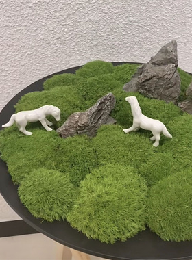 金属铜色金属花器永生苔藓
