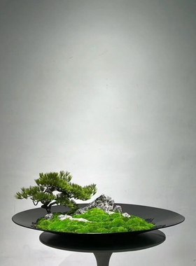 永生青苔造景景观不用养护