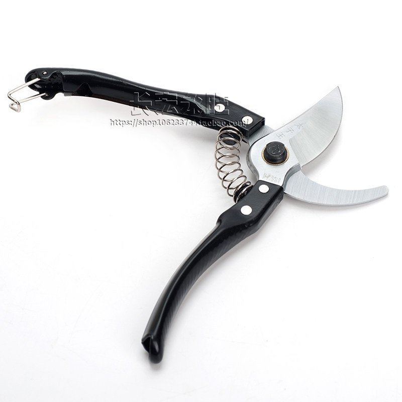 修枝剪太子王树枝剪枝剪不锈钢园林工具园艺剪刀葡萄剪刀修整木剪,淘宝优惠券,粉丝福利购,淘宝优惠卷