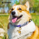 Пятнадцатая законодательство о домашних животных Petting Petting Petting Petting Petting Law