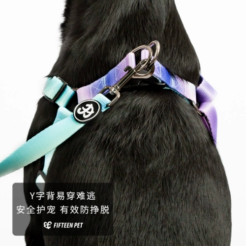 Пятнадцать домашних животных лучше бета -y -обработанные собаки -собаки гобу